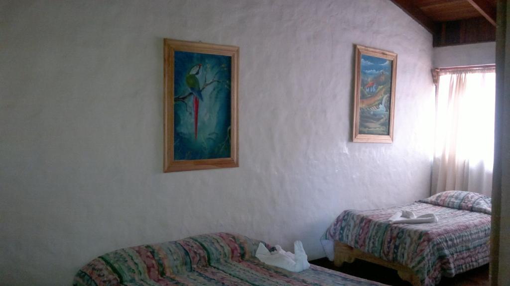 Hostel Villa Verde Monteverde 외부 사진