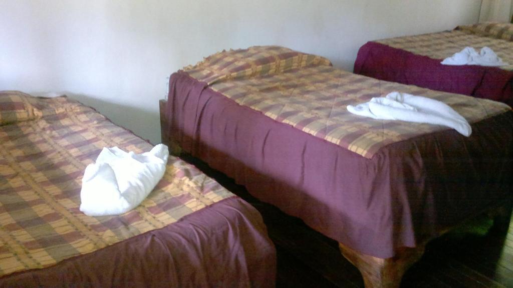 Hostel Villa Verde Monteverde 외부 사진