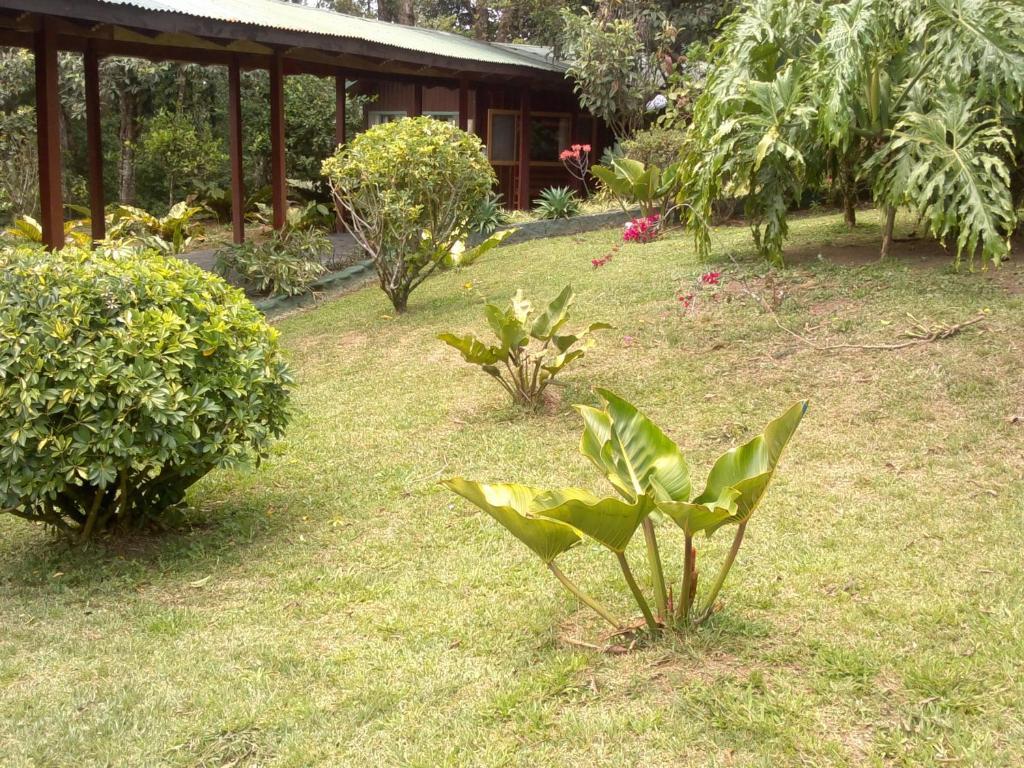 Hostel Villa Verde Monteverde 외부 사진